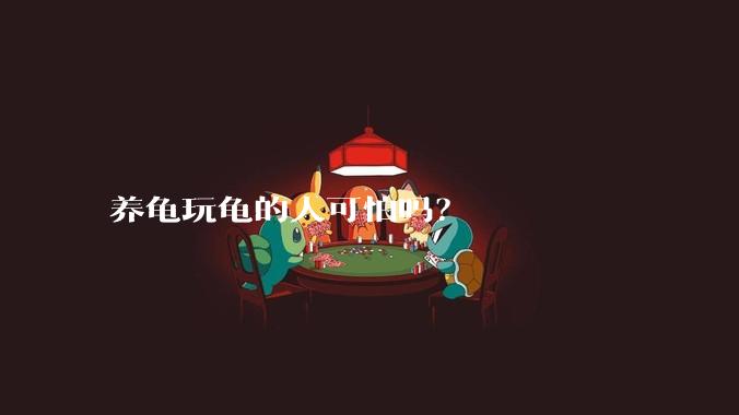 养龟玩龟的人可怕吗？