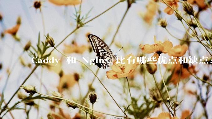 Caddy 和 Nginx 比有哪些优点和缺点？