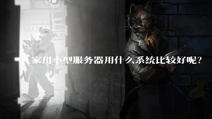 家用小型服务器用什么系统比较好呢？