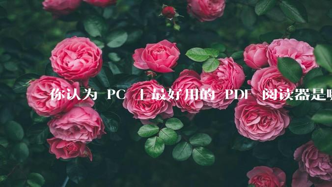 你认为 PC 上最好用的 PDF 阅读器是哪一种？