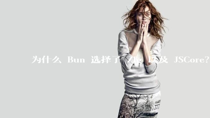 为什么 Bun 选择了 Zig 以及 JSCore？