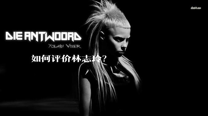 如何评价林志玲？