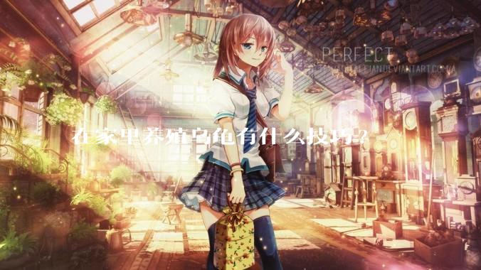 在家里养殖乌龟有什么技巧?