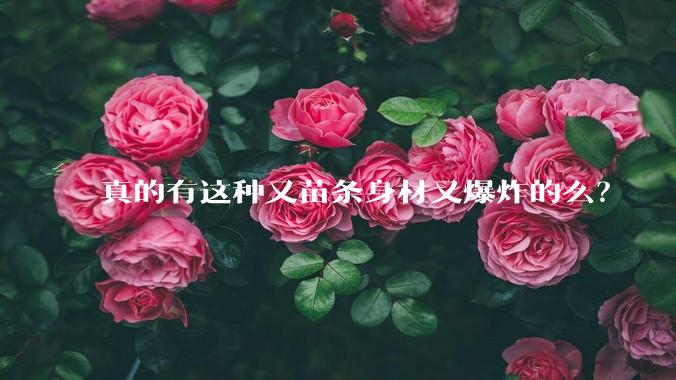 真的有这种又苗条身材又爆炸的么？