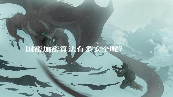 国密加密算法有多安全呢？