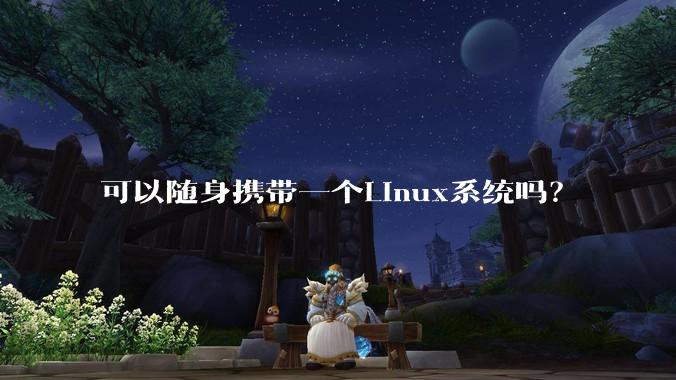 可以随身携带一个Linux系统吗？